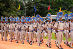 STK03219